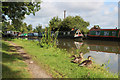 SP7843 : Ducks by the Grand Union Canal by Oast House Archive