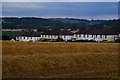 Mid Devon : Crop Field