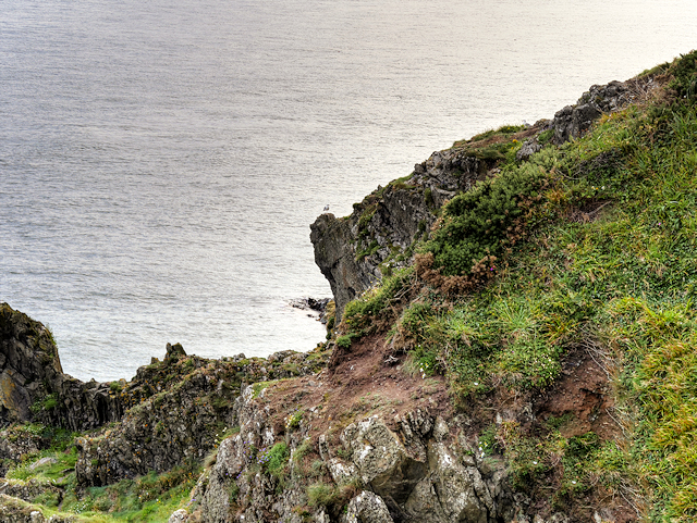 Cliffs at Portpatrick