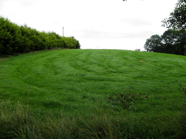 A grassy hill, Merchantstown Glebe