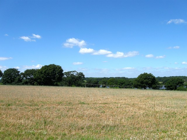 Pear Tree Field © Simon Carey :: Geograph Britain and Ireland