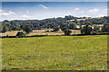 View towards Saintbury