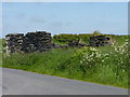 Ruin opposite Waun Beddau, Pembrokeshire