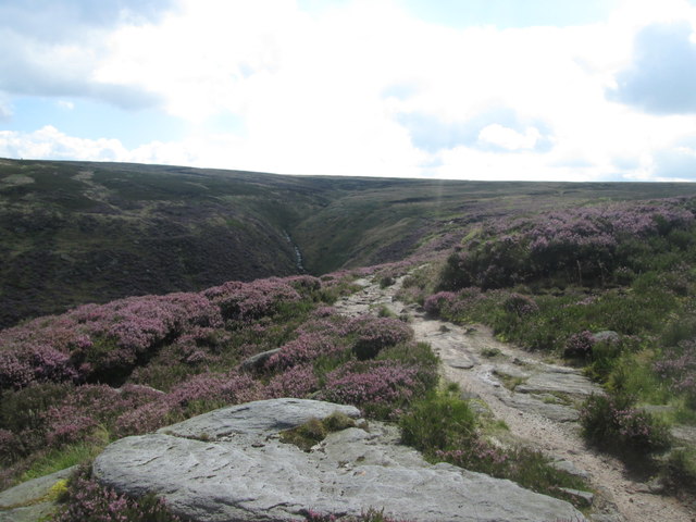 Upper reaches of Dove Stone Clough towards Featherbed Moss