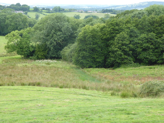 Wetland and woodland south of Girt Farm