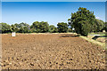 Ploughed field off Stonehouse Lane