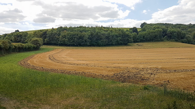 Curious harrowing pattern on Duncombe farm