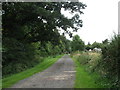 Track near Everthorpe Grange