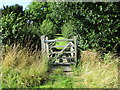 Gate into the churchyard