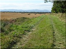 SO8938 : Headland track by Philip Halling