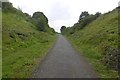 NZ4050 : Durham and Sunderland Railway trackbed by Richard Webb