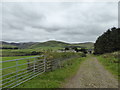 Farm track, Auchentaggart