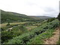 The College Burn and Valley