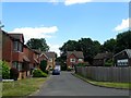 Little Finches, Partridge Green