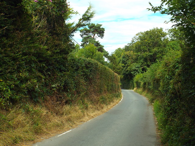 North End Lane, near Downe