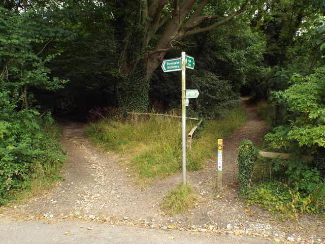 Footpath and bridleway into the woods near Downe