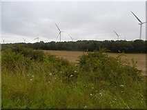 NZ4030 : Butterwick Moor Wind Farm by Richard Webb