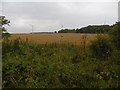 Butterwick Moor Wind Farm