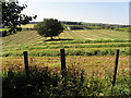 Hay field, Dunnamore