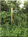TM0376 : Byway sign off School Road by Geographer