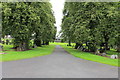 Cemetery, Kilmarnock