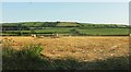 Baling straw, Treliggon