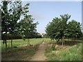 Footpath from Queniborough to Syston