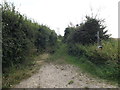 TM0173 : Pound Lane Byway off Honeypot Lane by Geographer