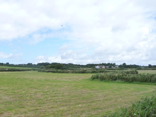 Wiggly hedge field boundary, west of Ballabeg