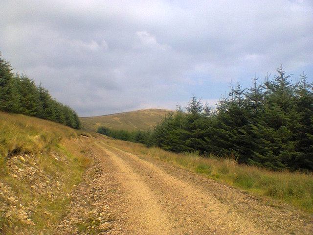 Track leading to Upper Oliver Dod