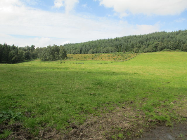 Farmland near Shaw Hill