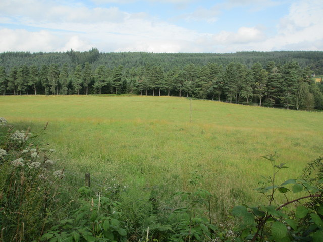 Field near Relugas