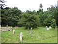 St Mary Magdalene Little Welnetham:churchyard  (g)