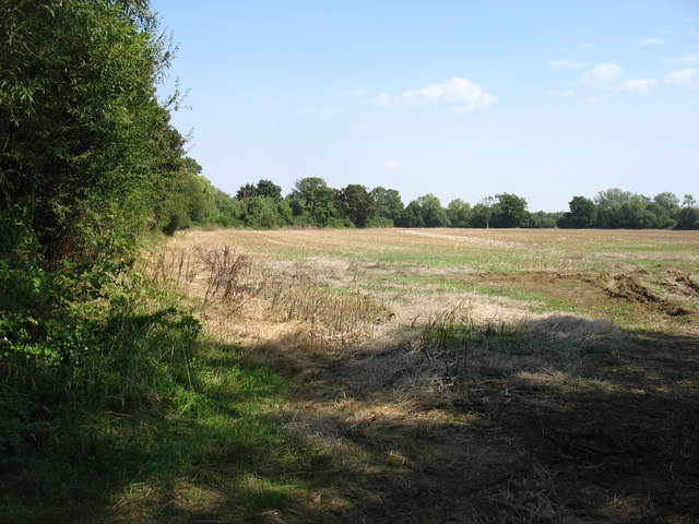 Field near Hannington Wick