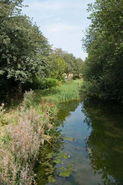 New River, Woodberry Wetlands © Jim Osley cc-by-sa/2.0 :: Geograph ...