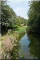 New River, Woodberry Wetlands