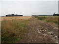 Track between arable and pasture land