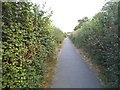 Path off Langley Road, Chipperfield