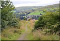 Whita Road above Langholm (2)