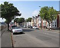 Tree-lined part of Broad Street, Barry