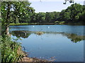 Perch Pond, Wanstead Park
