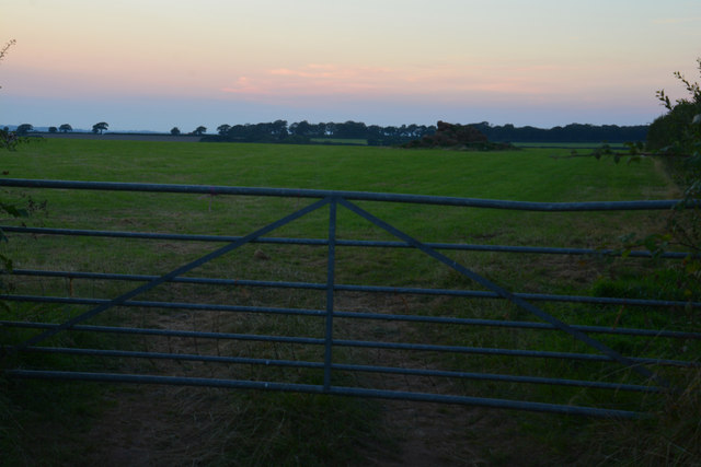 Mid Devon : Grassy Field & Gate