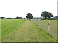 Footpath approaches gate near Coolham