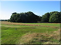 Pitch and putt, Allesley Park