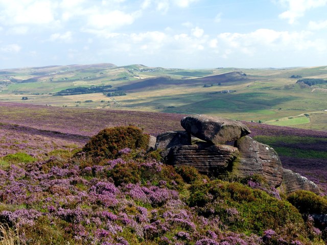 Rock outcrop on The Roaches