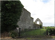 H9501 : The north wall of the ruined St Mary's Abbey, Louth Village by Eric Jones