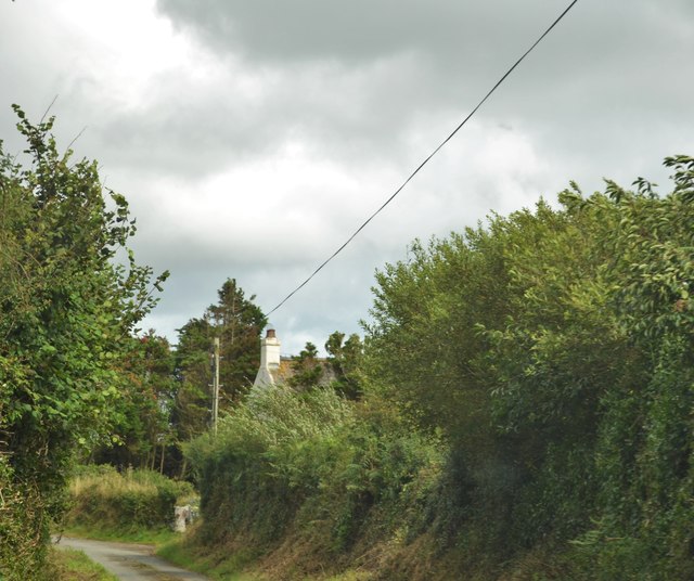 Narrow Lane To Abermawr
