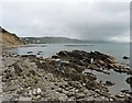 Rocky foreshore, east of Looe