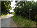 Looking westwards on Sincox Lane past footpath junction