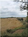 H9802 : Straw bales in harvested grain crop field by Eric Jones